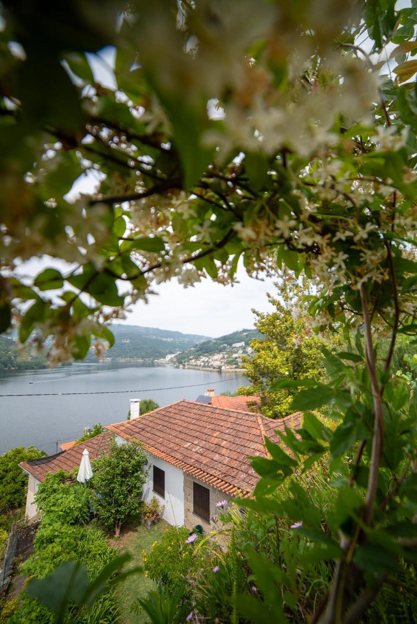 Casa Da Torre, Porto Manso Villa Ribadouro Exterior photo